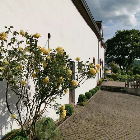 Vulkaneifel Loogh Holiday home