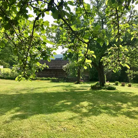 Holiday home Vulkaneifel Loogh