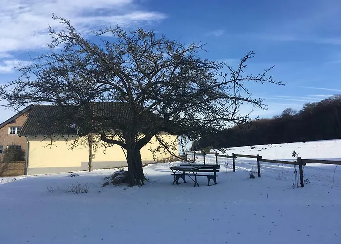 Holiday home Vulkaneifel Loogh